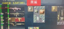  玩家反馈-三角洲【黑鲨】透视自瞄辅助